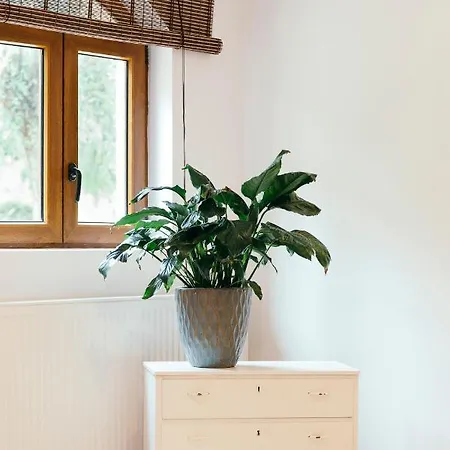 All Inclusive Luxurious Coliving La Kookaburra Хостел