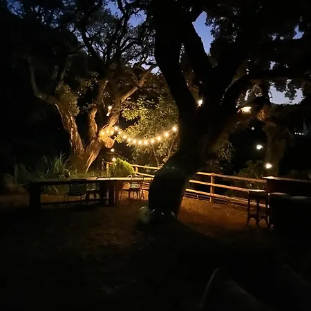 All Inclusive Luxurious Coliving La Kookaburra