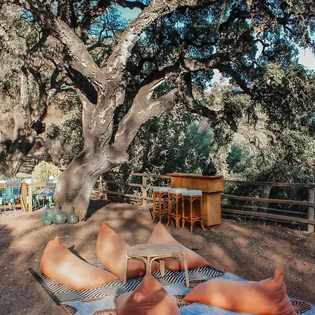 All Inclusive Luxurious Coliving La Kookaburra Хостел Коин