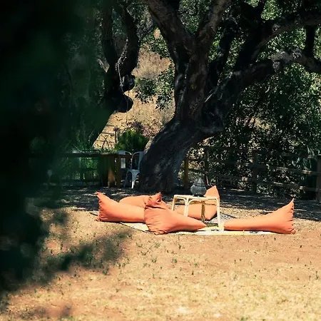 Vandrarhem All Inclusive Luxurious Coliving La Kookaburra