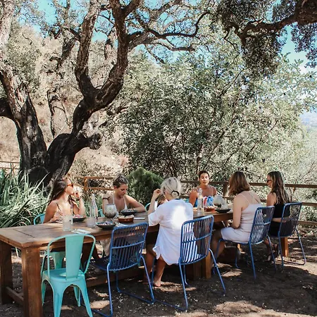 Vandrarhem All Inclusive Luxurious Coliving La Kookaburra