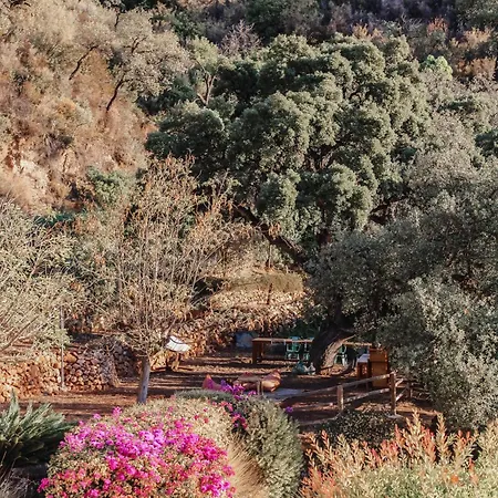 All Inclusive Luxurious Coliving La Kookaburra Coín